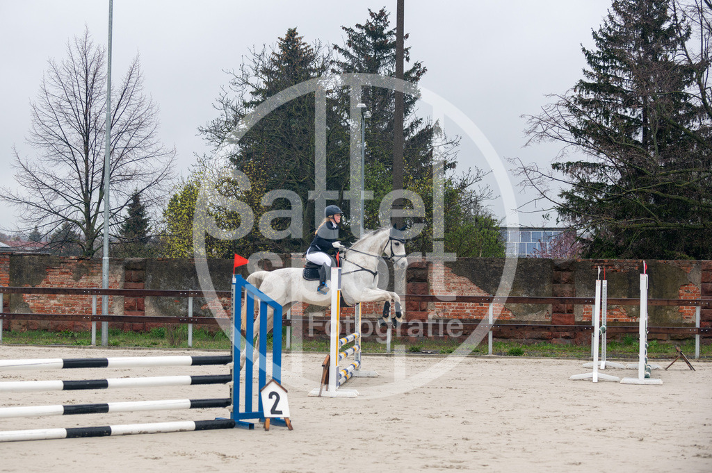 DSC_8170 | sattelsport - Realisiert mit Pictrs.com