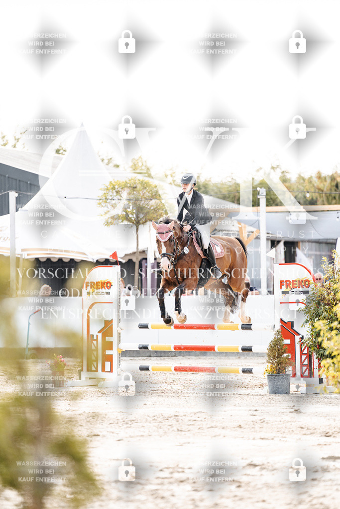CK906796 | Turnierfotografie Pferdefotografie Trier Rheinland-Pfalz Pferdesport Reitsport Tierfotografie Sportfotografie Pferdevideo Pferdevideografie Equestrianvideography equestrianphotography  - Realisiert mit Pictrs.com