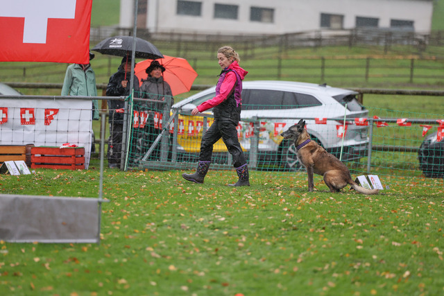 2025_Rally_Obedience_SM-187 | Ich fotografiere Hundeausstellungen, Sportanlässe, Zuchtstätten, Hundezucht, Hundeportrait, Lagotto - Realisiert mit Pictrs.com