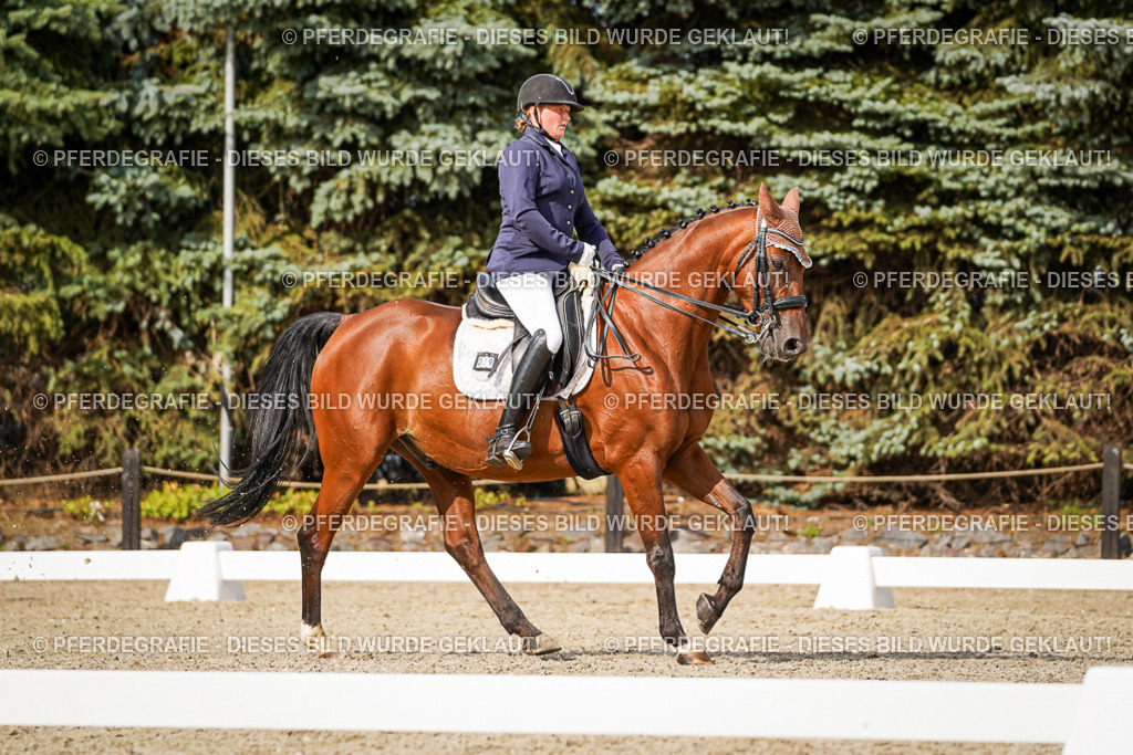 DSC07277 | Pferdegrafie