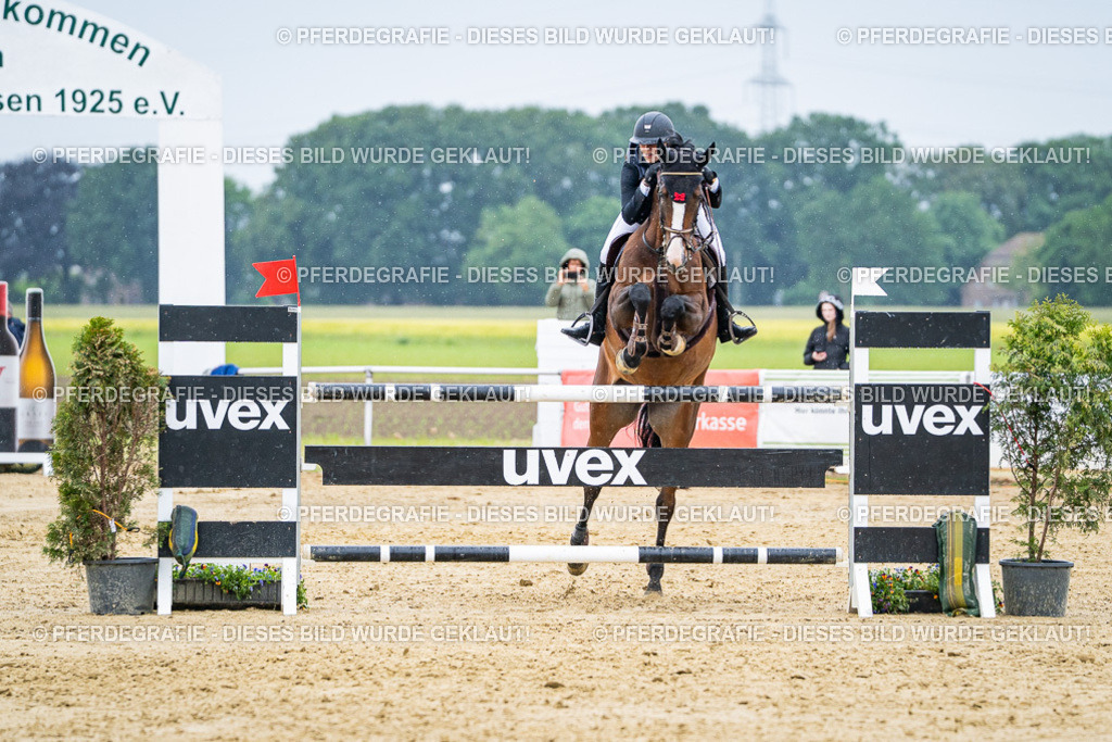 DSC08515 | Pferdegrafie