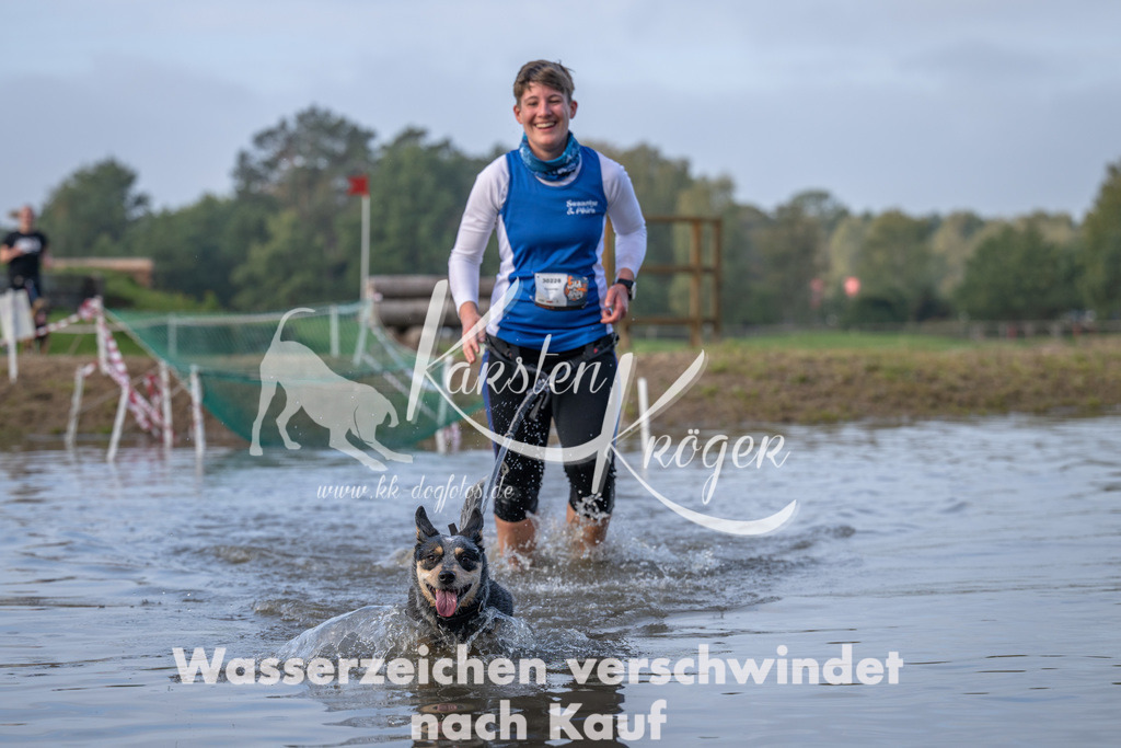 0954_ZZ91286 | kk-dogfotos