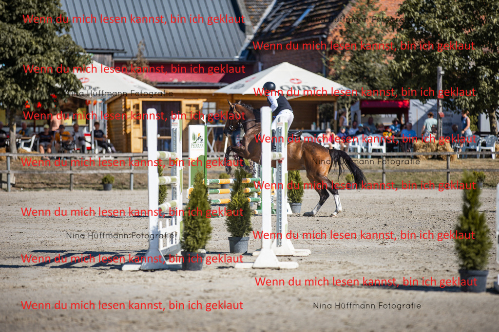 BK1A7932 | Turnierbilder Turnierfotos Nina Hüffmann Turnierfotografie Pferdefotografie Tierzeichnung Haustierzeichnung Pferdezeichnung Hundezeichnung Videograf  - Realisiert mit Pictrs.com