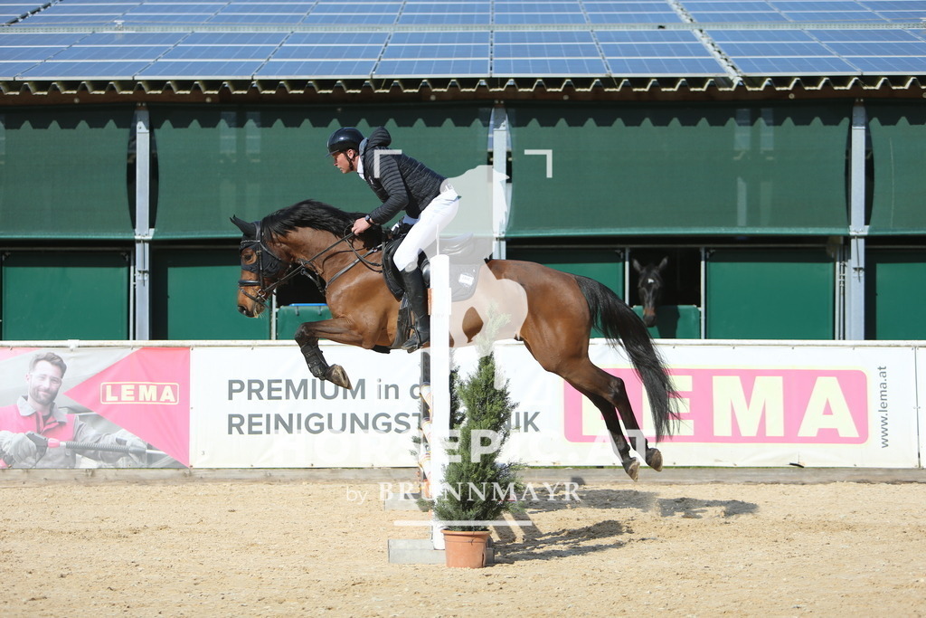 DL2Q3694 | Willkommen bei Brunnmayr - Design & Fotografie – Ihrem Spezialisten für Reitturniere und Pferdeveranstaltungen in Oberösterreich, Salzburg und Bayern! Seit über 17 Jahren sind wir leidenschaftlich dabei.