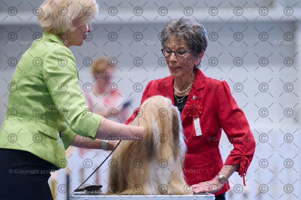 202406_ÖKV-IHA-Tulln24_DSC_4476 | proPHOTO - Realisiert mit Pictrs.com