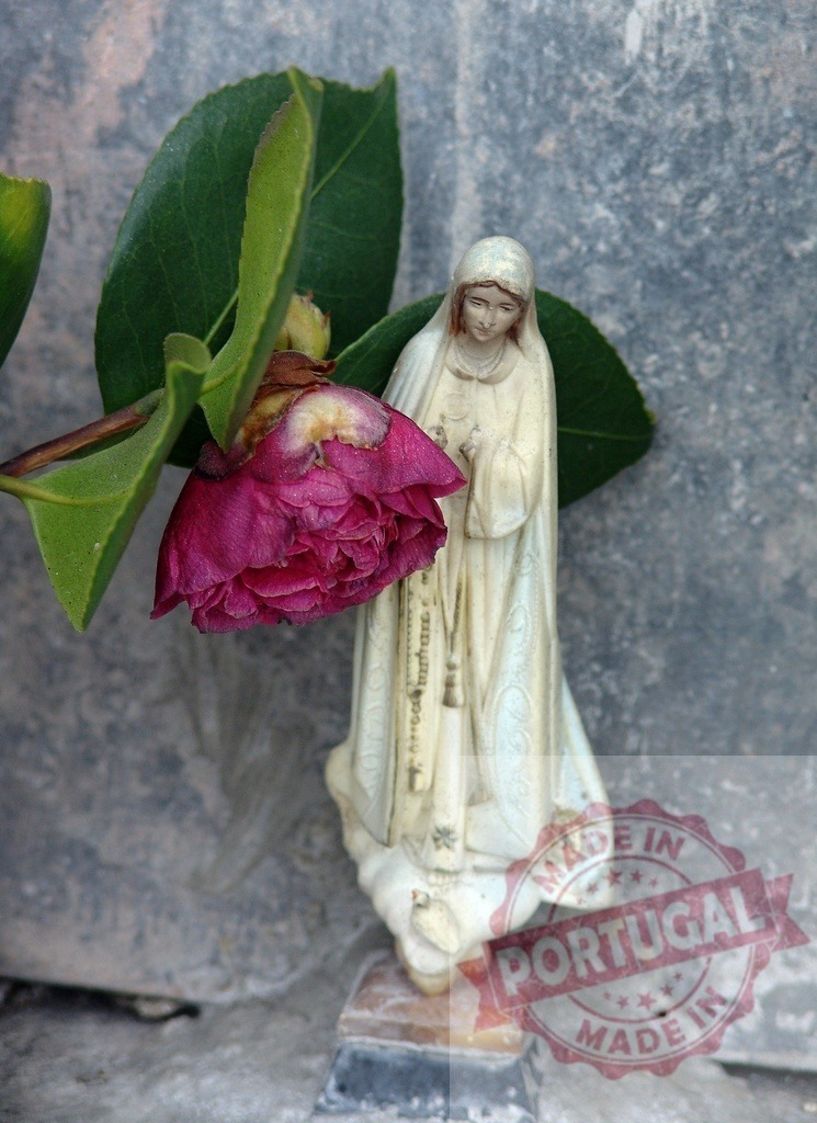 Virgin Mary Madonna statue with fading pink camellia | Virgin Mary statue standing beside a wilting pink camellia flower, symbolizing grief and remembrance - Realized with Pictrs.com