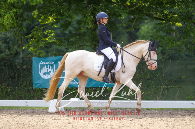 DKP42187 | Turniersportfotografie; Pferdefotografie; Dressurfotografie