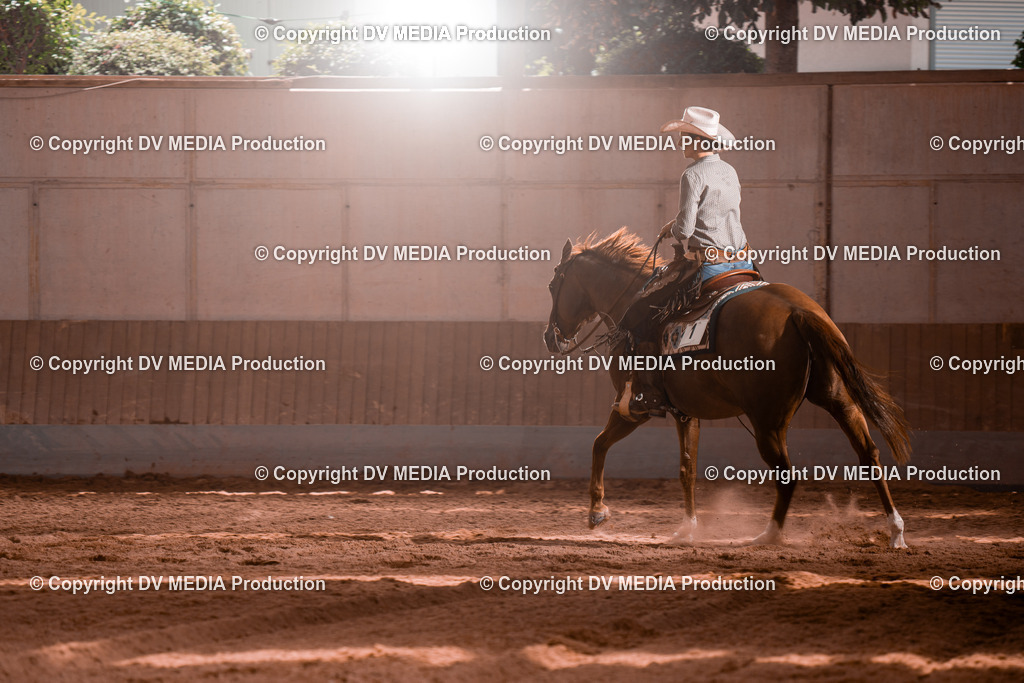 NE100728 | dv-media-shop - Realisiert mit Pictrs.com