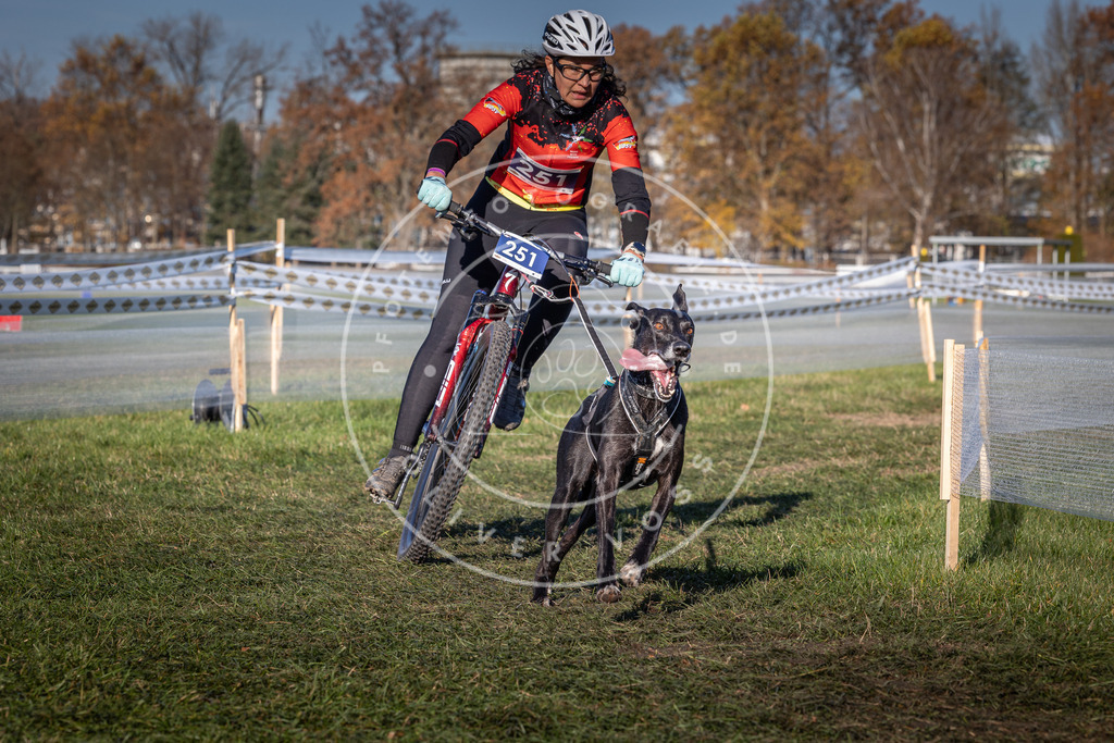 CaniXpix_0L8A4935 | Hundefotografie, Tierfotograf, Pfotenfotografie, Fotoshooting Hund, Hunde Portrait, Hundesport, Hundeportraits, Heideshooting, Hunde, Sportfotograf, Hundefotograf, Turnierhundsport, THS,  - Realisiert mit Pictrs.com