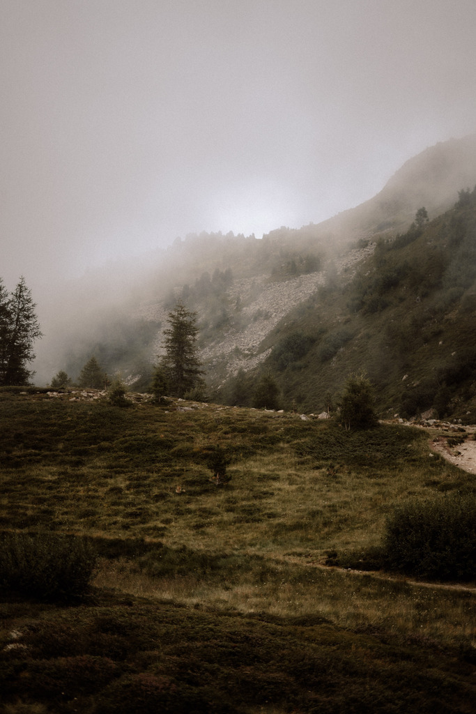 DSC07340 | Print Shop 
Fotografie
Posterdruck
Landschaftsfotografie
Reisefotografie
Naturfotografie
Anja Brandes Poster 
Anja Brandes Photography 
Prints for Walls 
Printable 
Posterdrucke
Poster aesthetic 
Poster Wall 
Poster Prints 
Poster schwarz weiß - Realisiert mit Pictrs.com