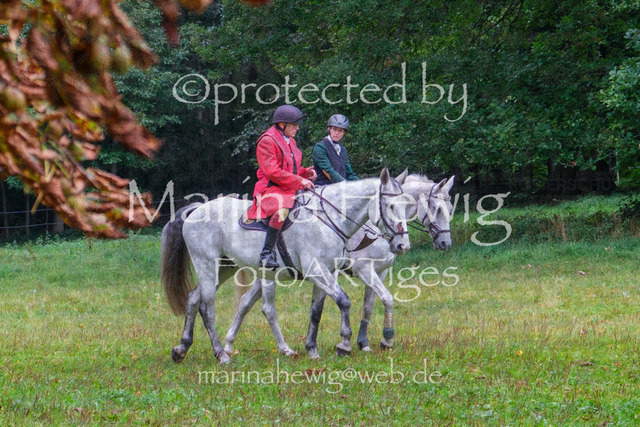 Jagd Perdoel_MarinaHewigDSCF3390 | Fotografie, FotoArt, PferdesportArt, Pferdesportfotografie, Landschaftsfotografie, Reisefotografie, Reise, Pferde - Realisiert mit Pictrs.com