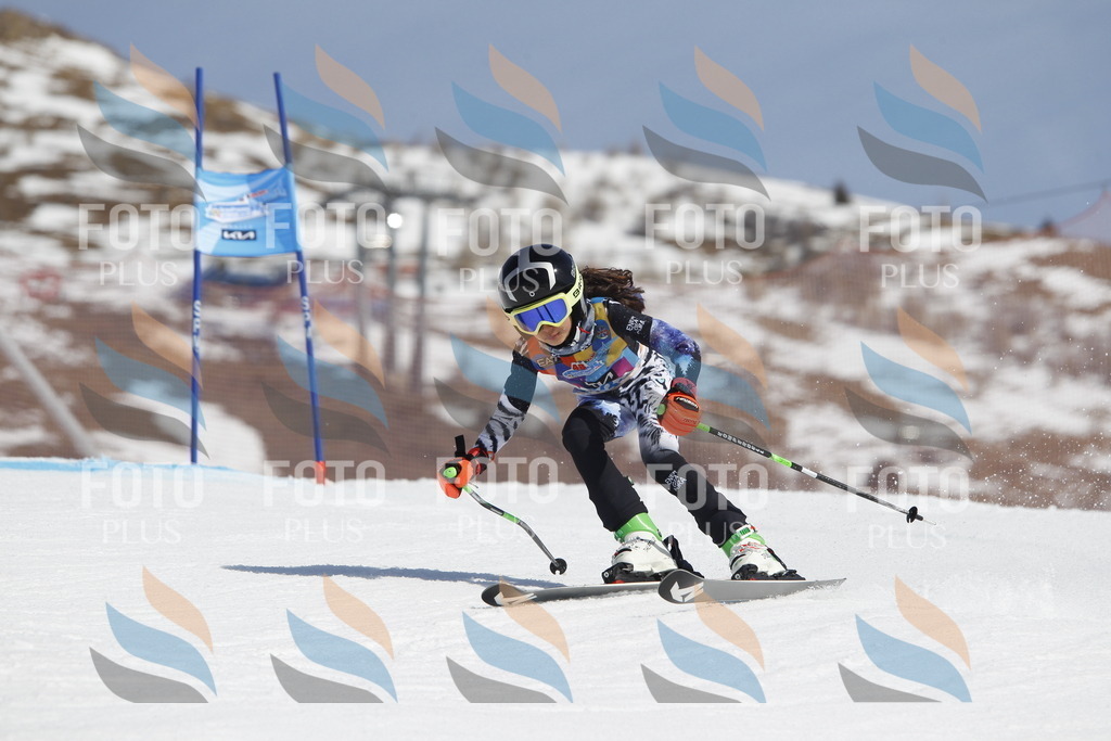 _U3G0915 | holidayphoto