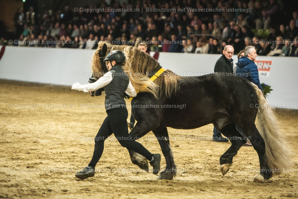 20240302_Hengstvorstellung_Marbach_TOMsPiC_0626 | equistock