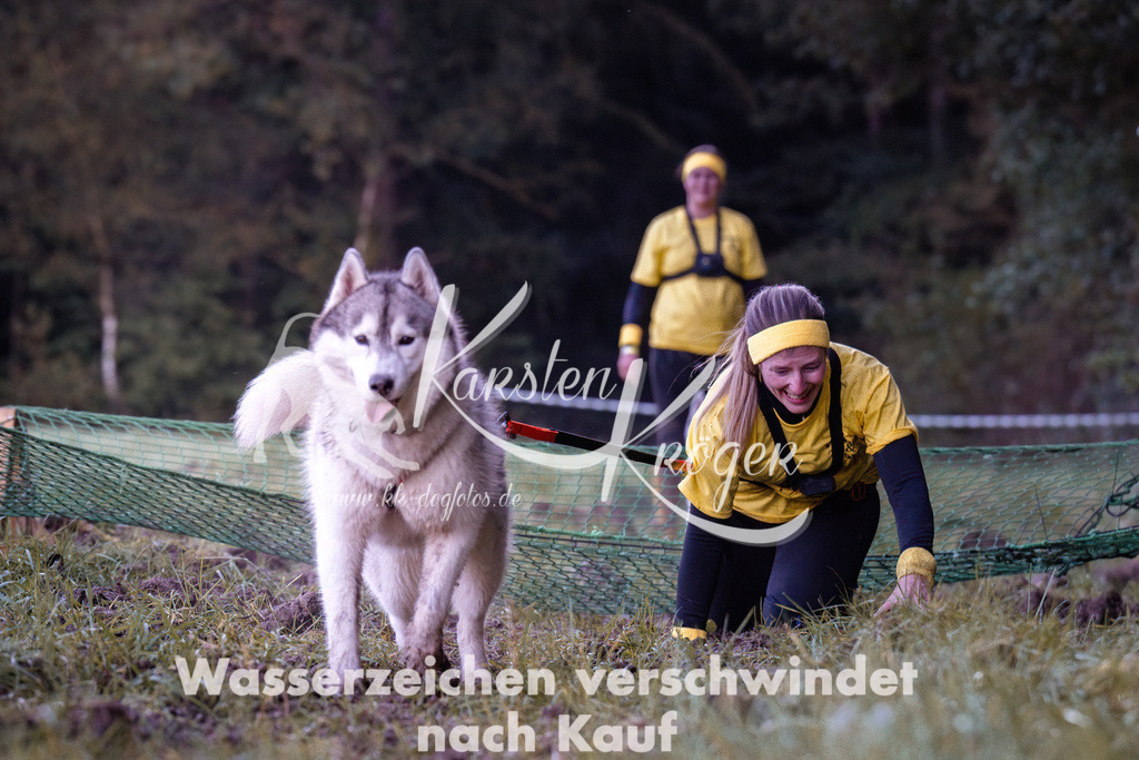 0840_ZZ90604-Bearbeitet | kk-dogfotos