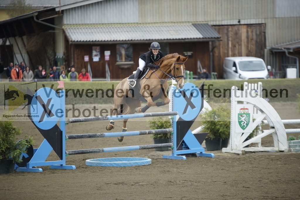 _DSC7067 | equestrian-live-com