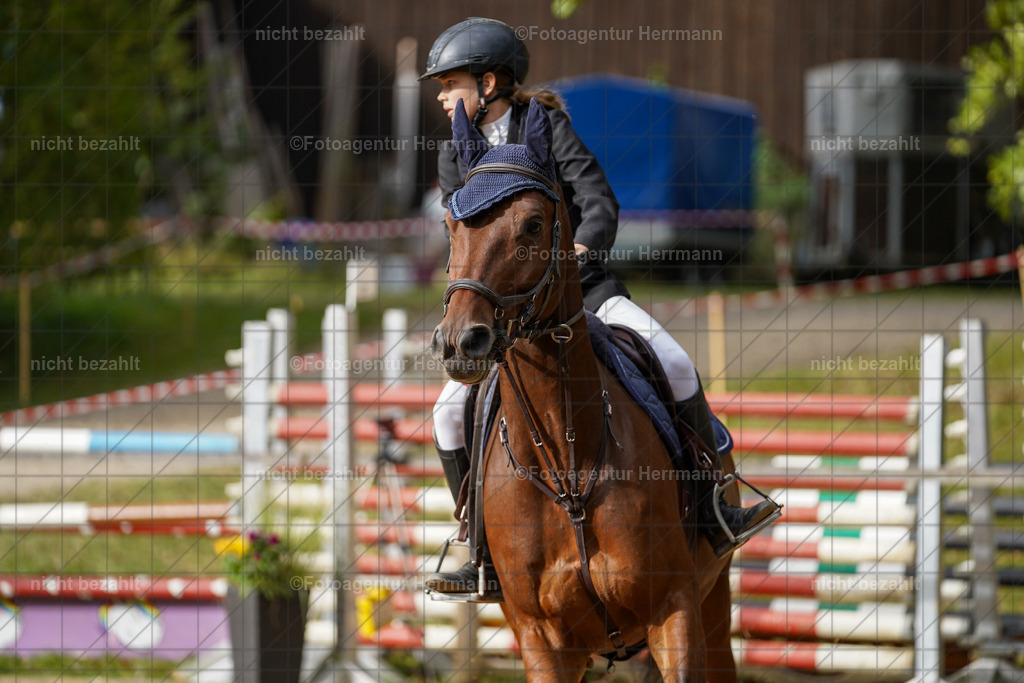 20231008-SN_01229 | Diessen am Ammersee, 2023, Dressur- und Springturnier, Reitsport, Turnierfotografie, Pferdebilder, Reitbilder, Turnierfotografen Bayern, Fotoagentur Herrmann