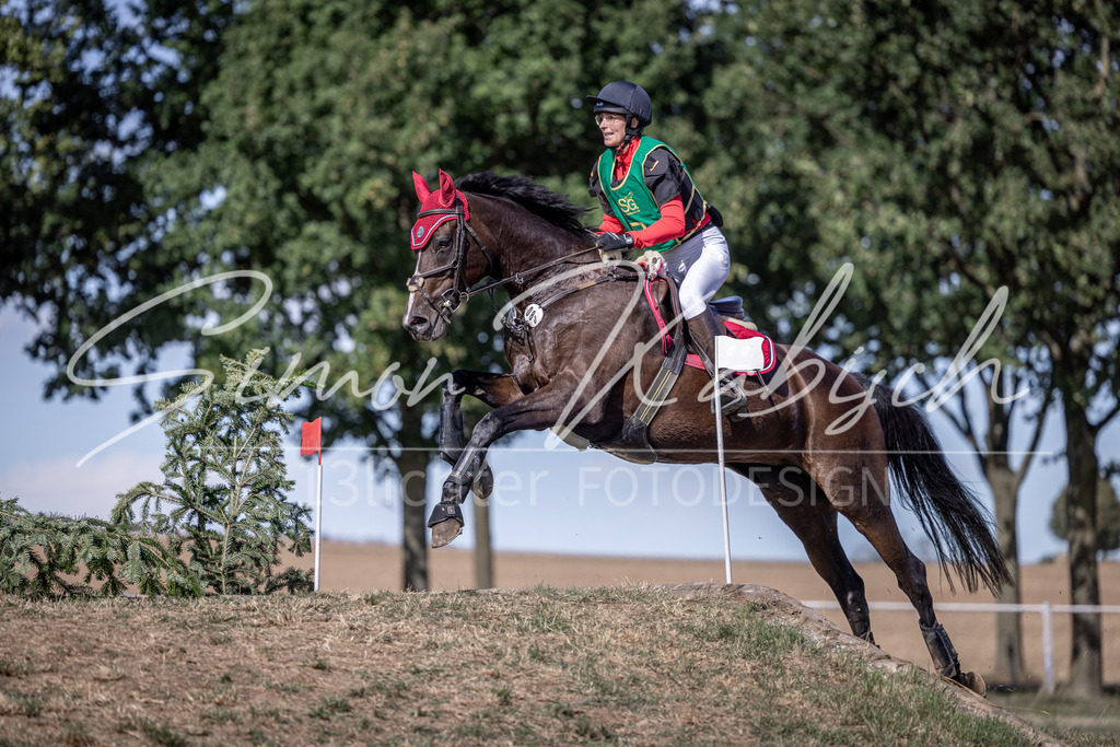 20260906-_3LI6022 | Tierfotografie Pferde, Hunde, Katzen, Haustiere.
Turnierfotografie Reitturniere, Reiten, Springreiten, Dressur in Hanau, dem Main-Kinzig-Kreis und dem Rhein-Main- Gebiet um Frankfurt