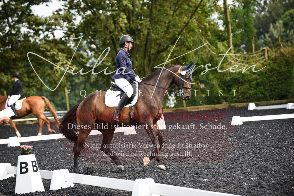 DSC_3042 | Pferde- und Turnierfotografie in Westsachsen. Pferdeportraits, Auftragszeichnungen und intuitive Kunst.