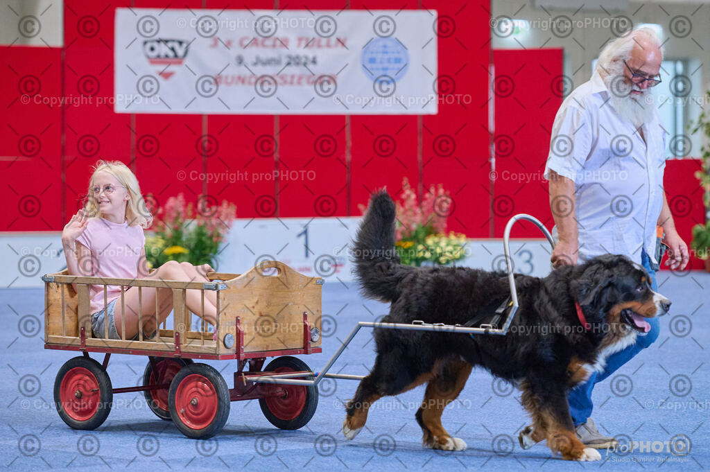 202406_ÖKV-IHA-Tulln24_DSC_4666 | proPHOTO - Realisiert mit Pictrs.com