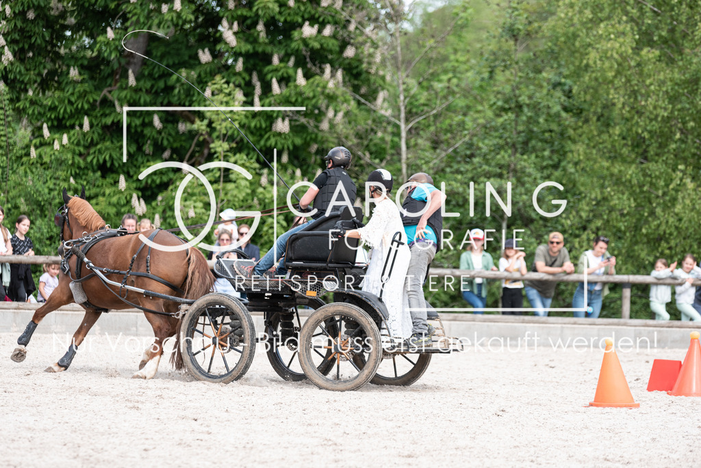 DSC_1710 | Turnierfotografin Carolin Gieschke, Turnierfotografie Carolin G Fotografie, Turnierfotos Kirchheim/Teck, Esslingen, Stuttgart, Bodenseekreis