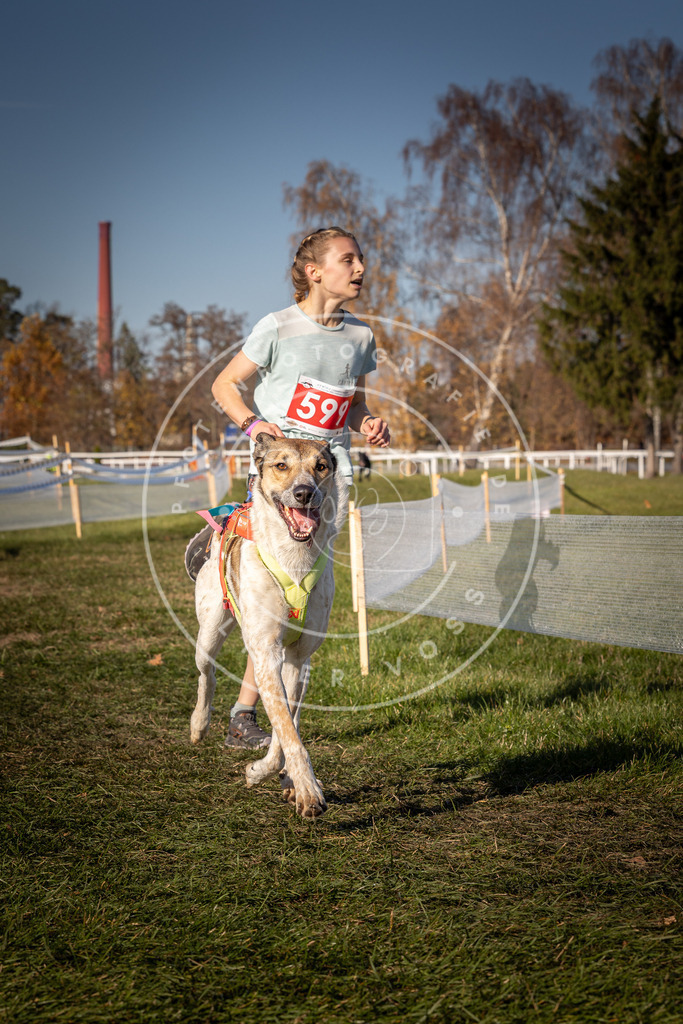CaniXpix_0L8A8526 | Hundefotografie, Tierfotograf, Pfotenfotografie, Fotoshooting Hund, Hunde Portrait, Hundesport, Hundeportraits, Heideshooting, Hunde, Sportfotograf, Hundefotograf, Turnierhundsport, THS,  - Realisiert mit Pictrs.com