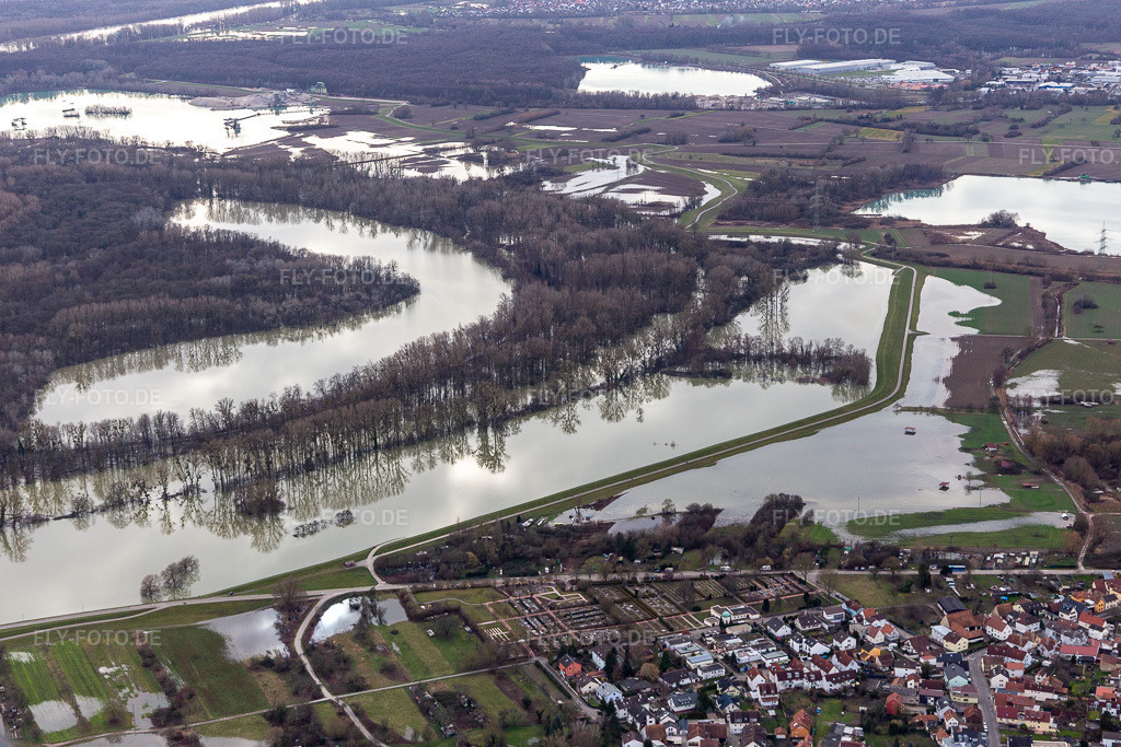Luftbild: Hagenbacher Altrhein vor der Insel Nauas bei Hochwasser im Ortsteil Maximiliansau in Wörth im Bundesland Rheinland-Pfalz in Deutschland. Foto: IMG_124256.jpg vom 04.02.2021 durch Werner Riehm/FLY-FOTO.de