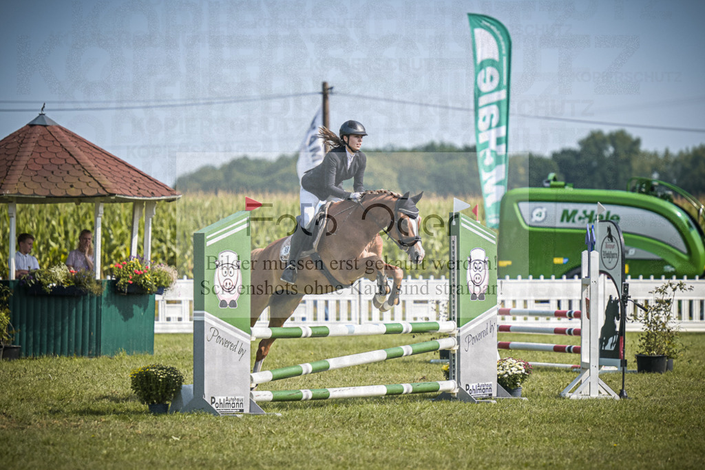 DOS_3143 | Entdecke hochwertige Reitturnierfotos von Foto Oger. Professionell, emotional und authentisch – jetzt Lieblingsmomente im Shop bestellen.Deutschlandweite Turnierfotografie. - Realisiert mit Pictrs.com