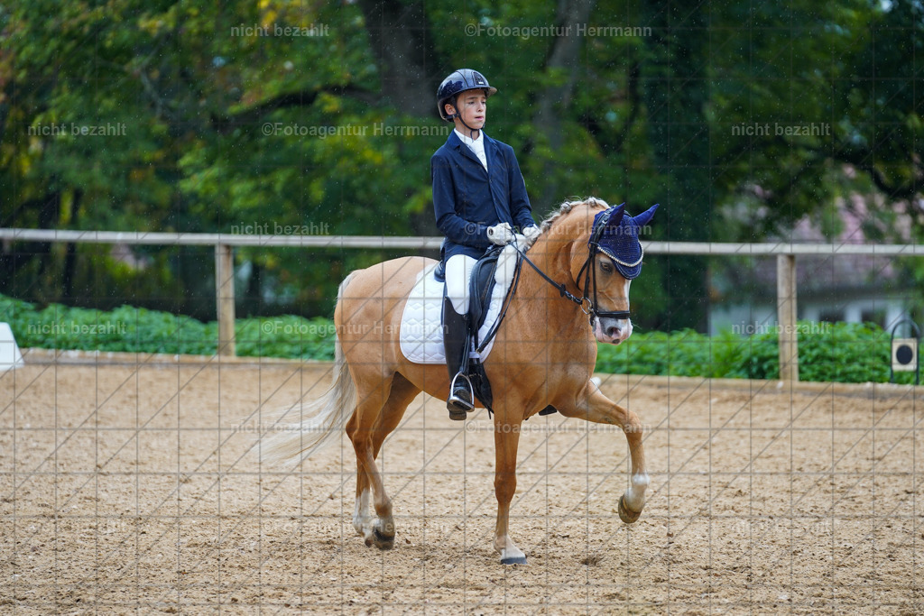 20221008-FAH01996 | Diessen am Ammersee, 2022, Dressur- und Springturnier, Reitsportbilder, Turnierfotografen Bayern, Pferdefotografen, Fotoagentur Herrmann, Turnierbilder