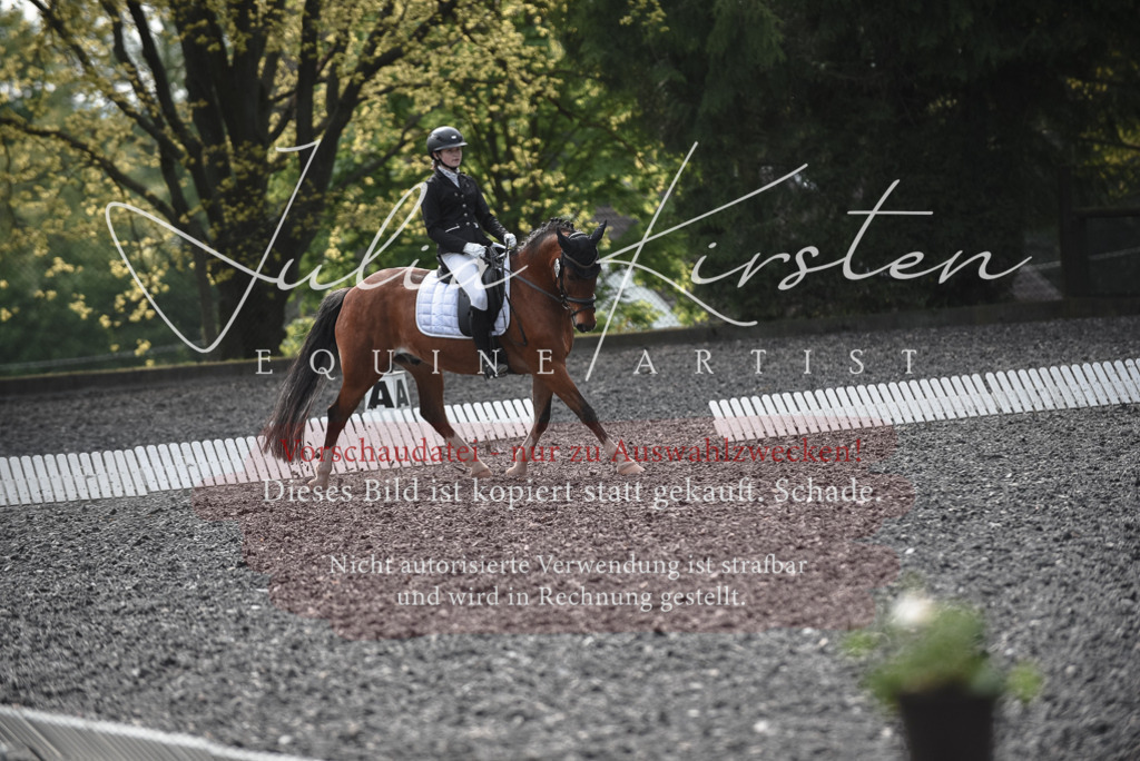 20230513_JK-Röhrsdorf-14-440 | Pferde- und Turnierfotografie in Westsachsen. Pferdeportraits, Auftragszeichnungen und intuitive Kunst.