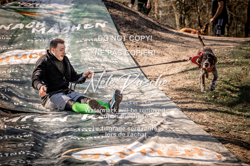 nelerasche_Hulsbeek_So1200-1230_311 | nelerasche