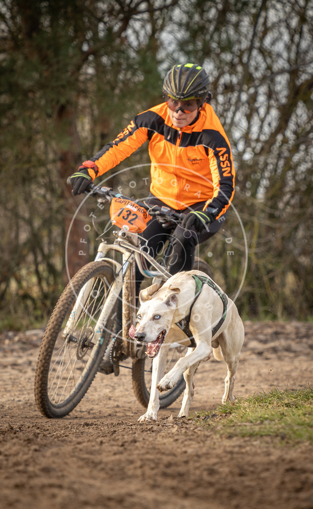 Pfotenfotografie_DV3A8238 | Hundefotografie, Tierfotograf, Pfotenfotografie, Fotoshooting Hund, Hunde Portrait, Hundesport, Hundeportraits, Heideshooting, Hunde, Sportfotograf, Hundefotograf, Turnierhundsport, THS,  - Realisiert mit Pictrs.com