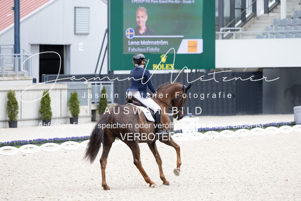 126A1223 | jasminmetznerfotografie