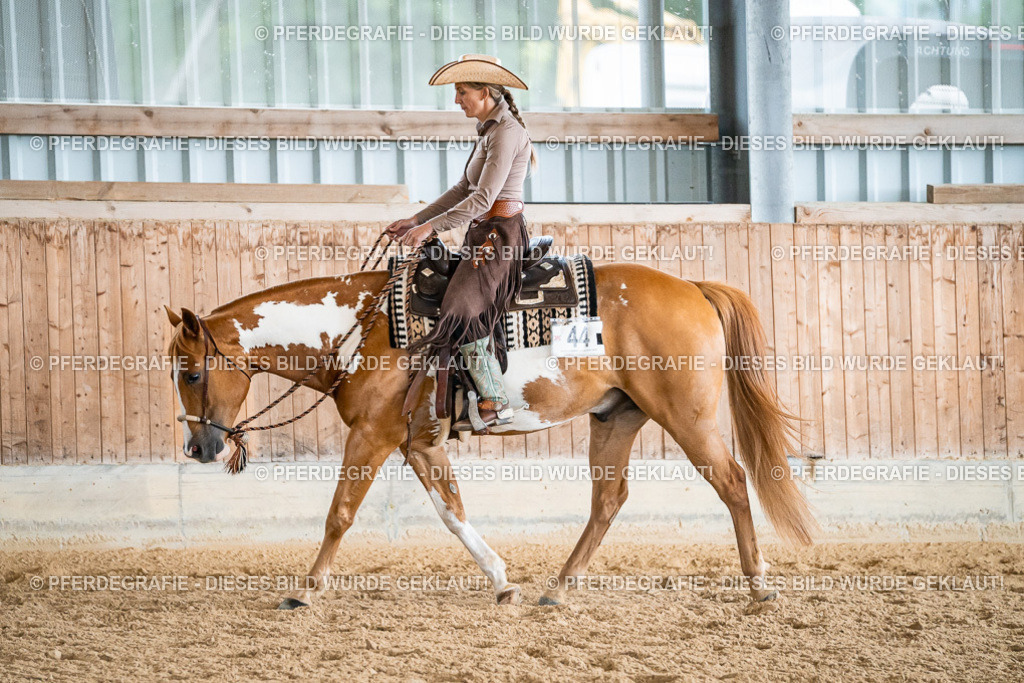 DSC00117 | Pferdegrafie