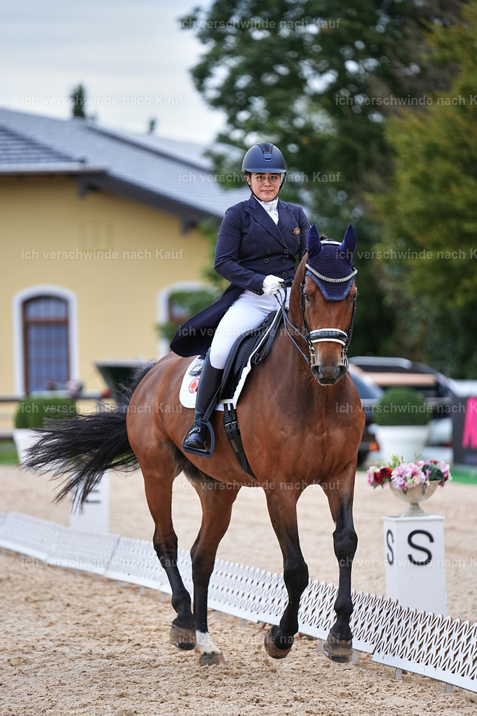 8_2-169-DRESSUR S_  -Marixx-4603 | working equitationturnier fotograf videograf stoibphotography marixx film working equitation deutschland reitsport turnierfotografie eventfotografie equestrian events