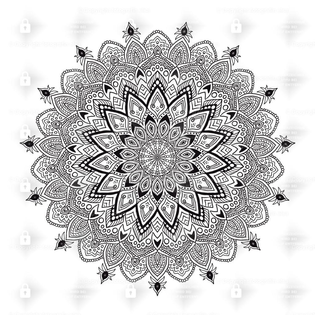 58Seite | fotografinelsa