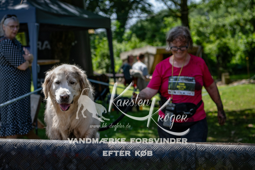 1256_ZZ90311 | kk-dogfotos
