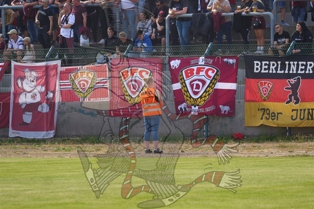BFC Dynamo vs. Berliner AK 07 031 | mythos-online-redaktion
