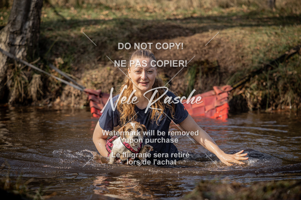 nelerasche_FS1330-1400_251 | nelerasche
