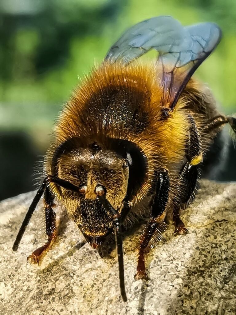 PSX_20220825_224310 | mtkfoto_ - Realisiert mit Pictrs.com