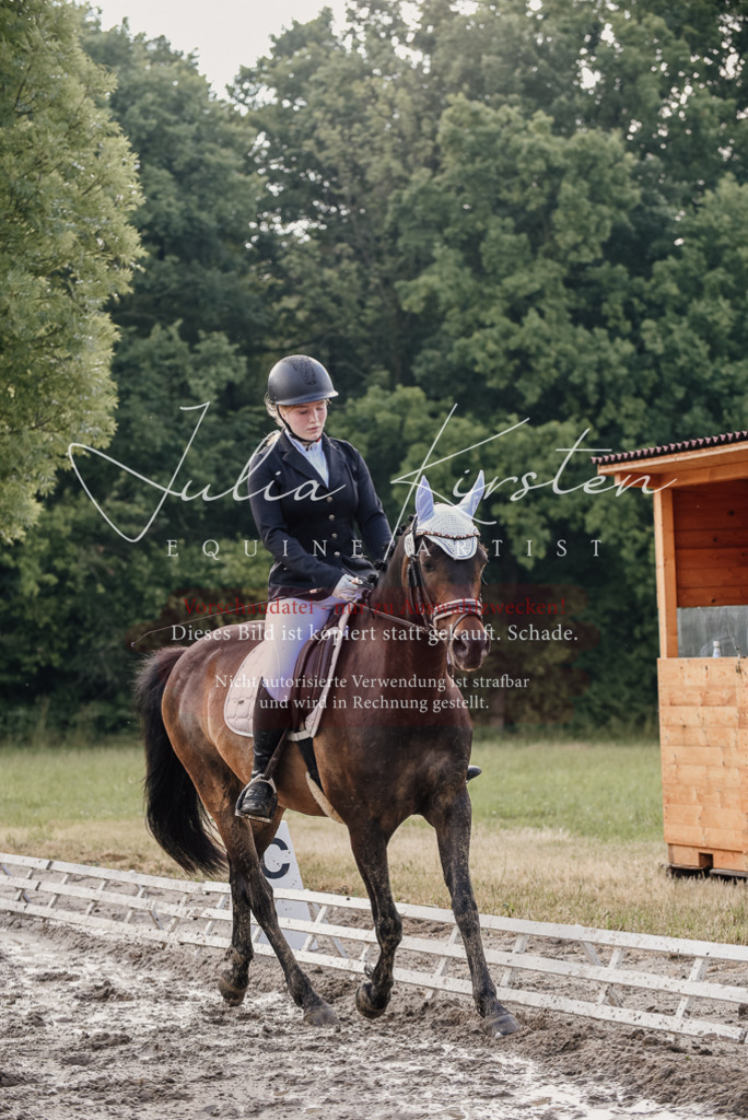 DSC_8138 | Pferde- und Turnierfotografie in Westsachsen. Pferdeportraits, Auftragszeichnungen und intuitive Kunst.