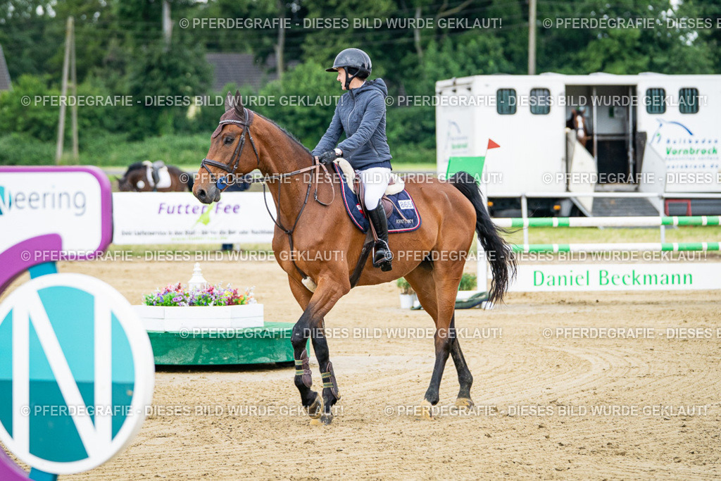 DSC05567 | Pferdegrafie