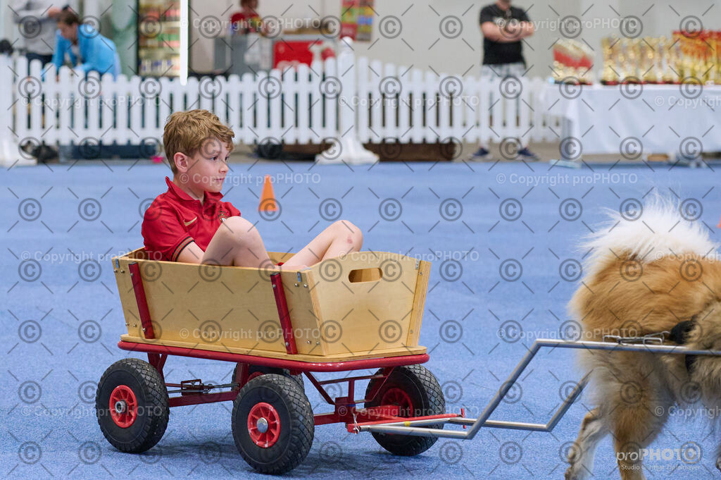 202406_ÖKV-IHA-Tulln24_DSC_4661 | proPHOTO - Realisiert mit Pictrs.com