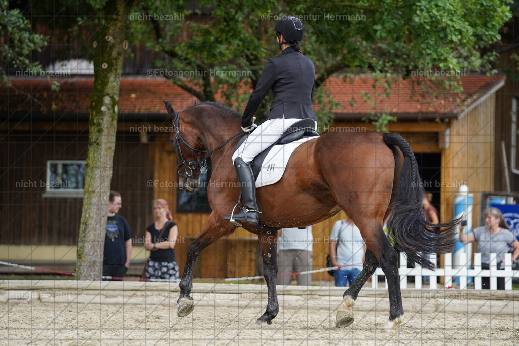 20230826-FAH05140 | Forstinning, 2023, Dressurturnier, Turniersportbilder, Turnierfotografen Bayern, Fotoagentur Herrmann, Reitsportfotografie, Turnierbilder