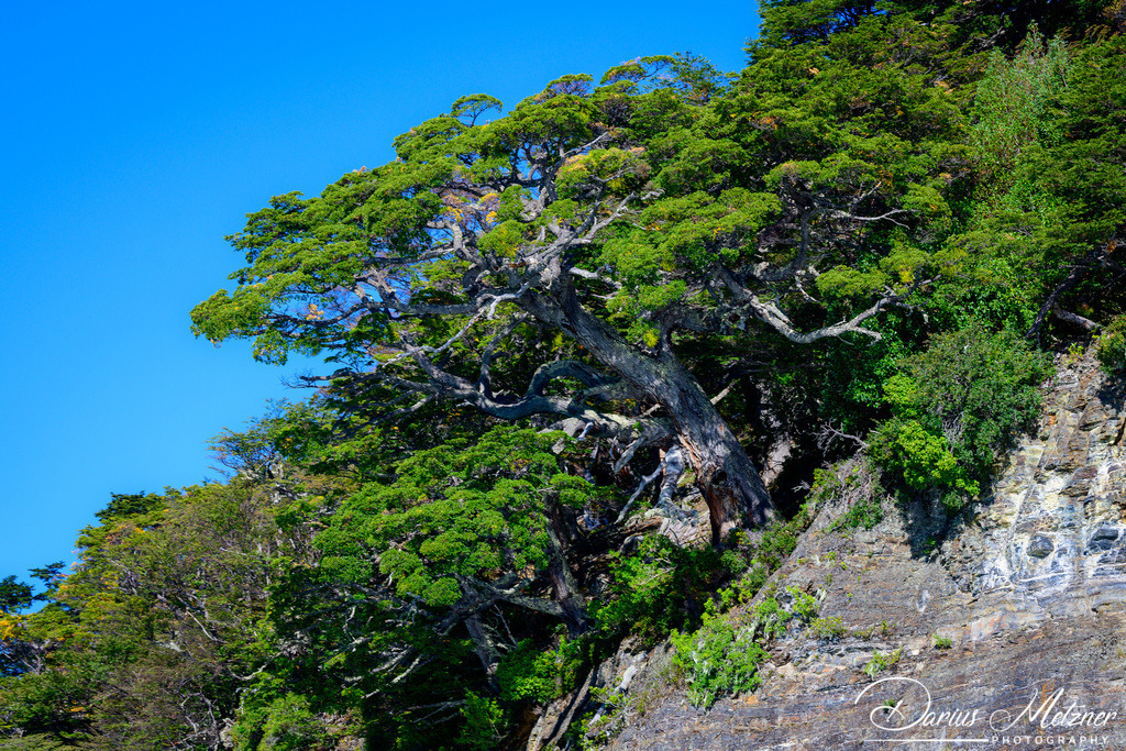 El Calafate in Argentinien  | El Calafate in Argentinien