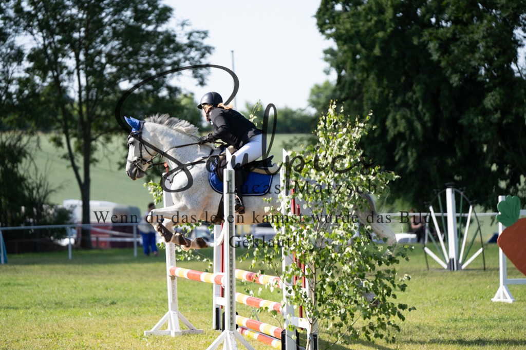 A7V05266 | Pferdefotograf