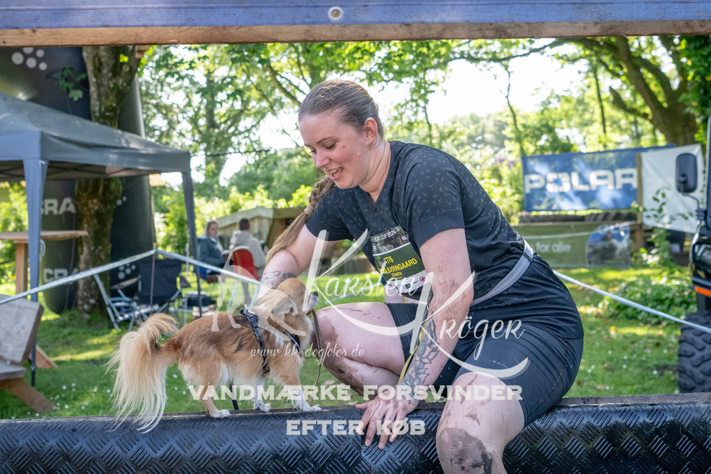 1544_ZZ93137 | kk-dogfotos