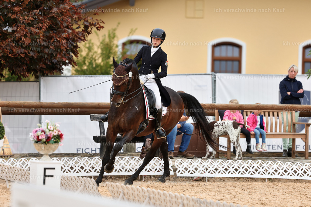 11-215-Dressur S___-StoibPH-1005 | working equitationturnier fotograf videograf stoibphotography marixx film working equitation deutschland reitsport turnierfotografie eventfotografie equestrian events