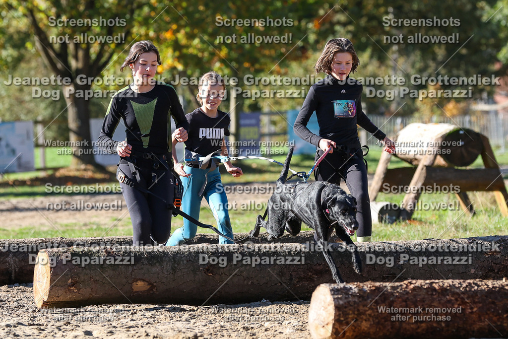 Dog Paparazzi - Strongdog 10-25-2537 | Dog Paparazzi Jeanette Grottendiek Fotografie & Videografie - Realisiert mit Pictrs.com