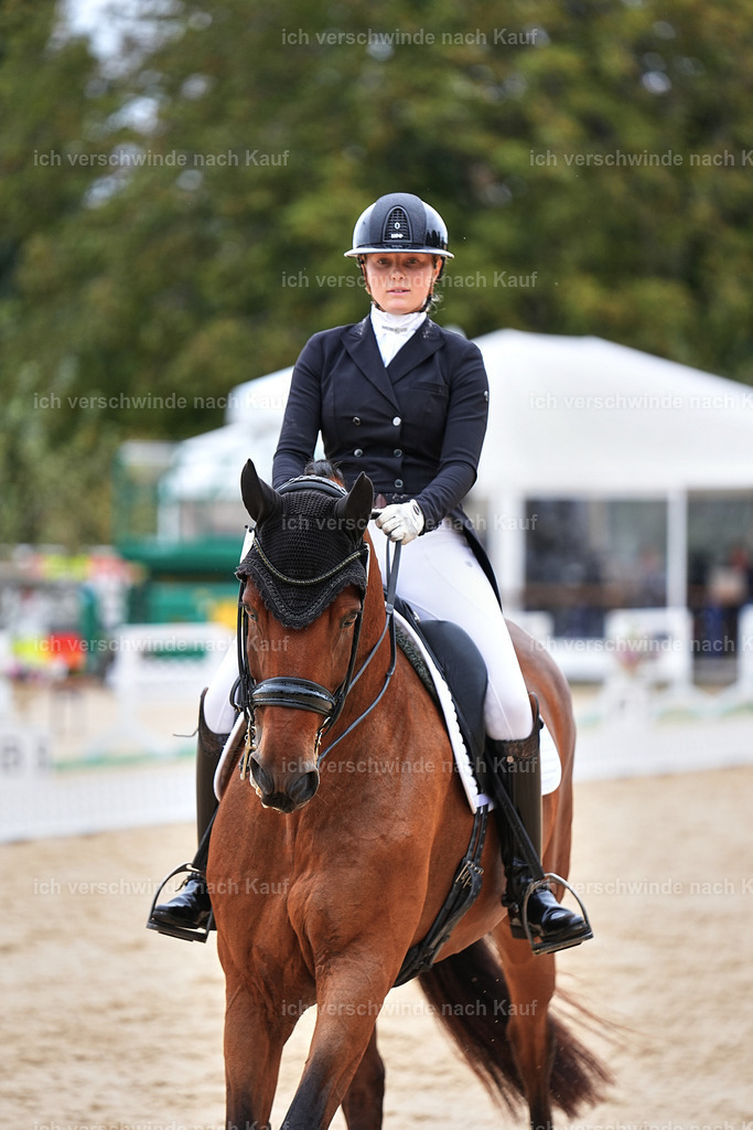 11-189-Dressur S___-Marixx-1780 | working equitationturnier fotograf videograf stoibphotography marixx film working equitation deutschland reitsport turnierfotografie eventfotografie equestrian events