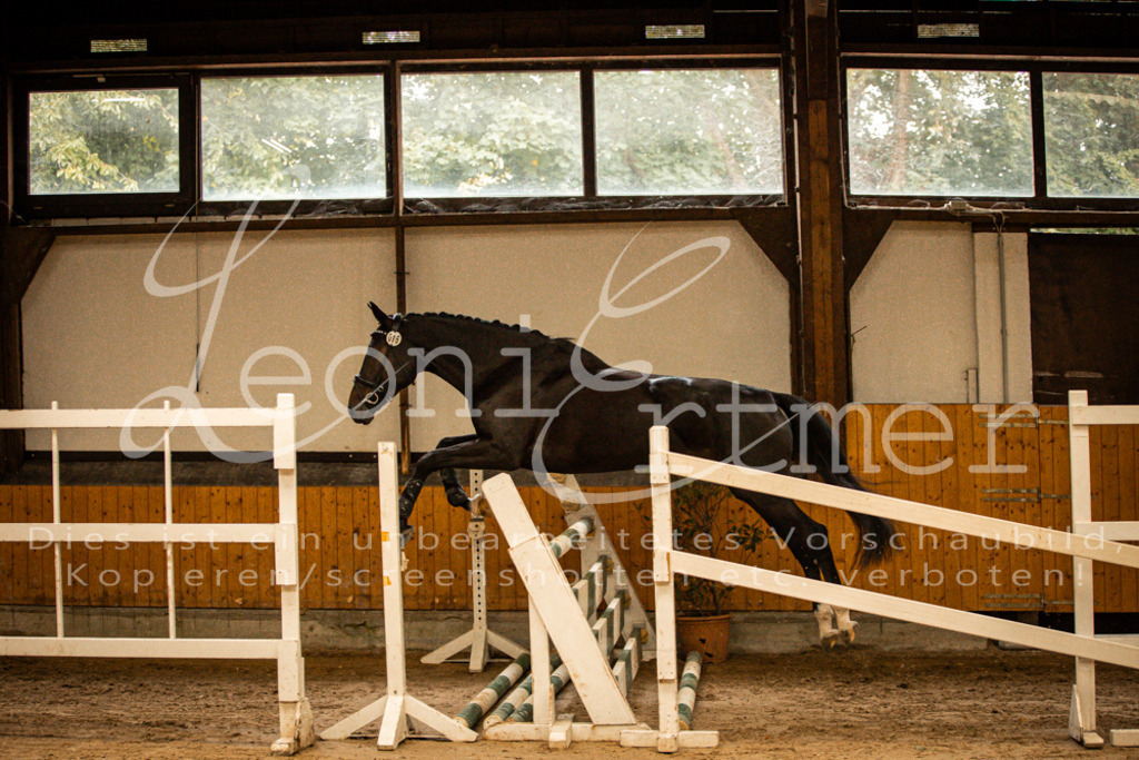 2FS_L00047 | Leoni Ertmer Photography - Realisiert mit Pictrs.com